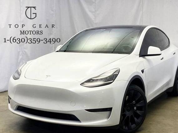 TESLA MODEL Y 2020 5YJYGDEE2LF033257 image
